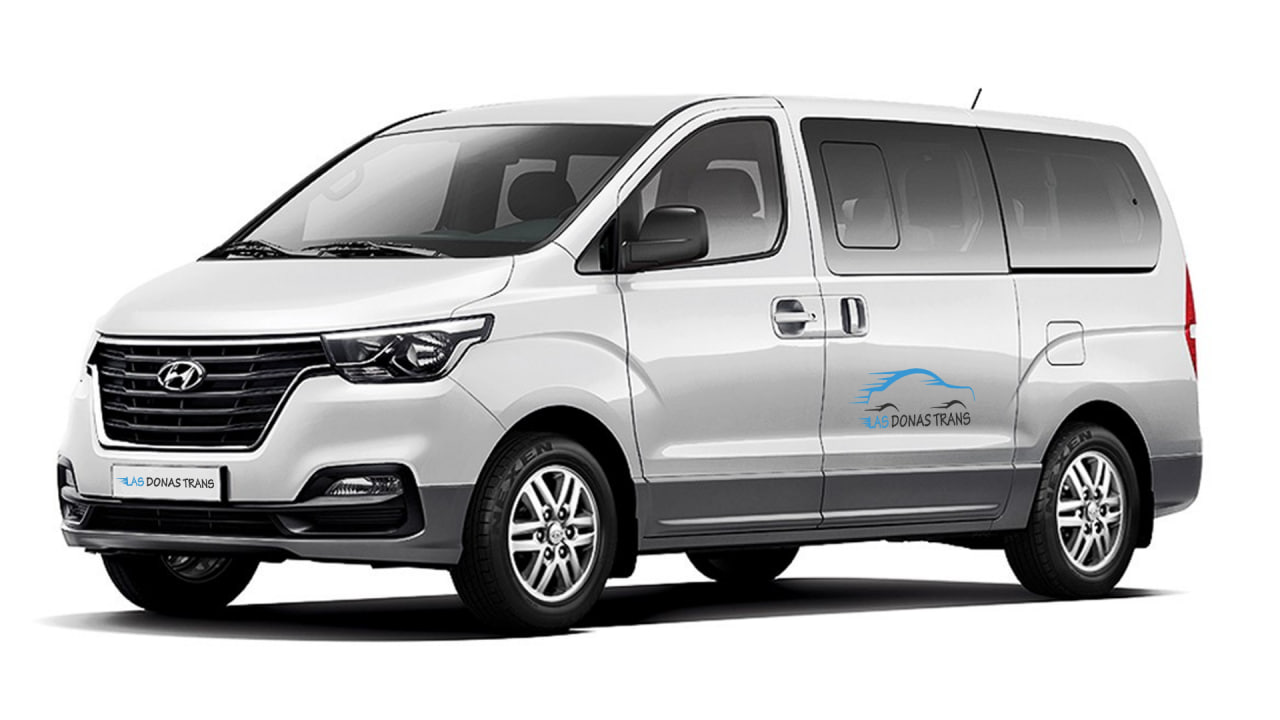 Hyundai H1 Tria